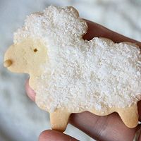 Little Sheep Cookie Recipe Illustration 15