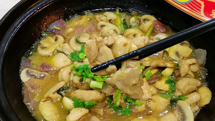 Gejie Matsutake Chicken Stew