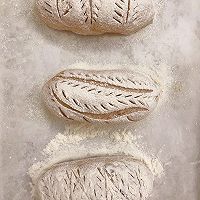 #Free Creative Bread#Country Whole Wheat Bread Recipe Illustration 12 