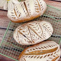 #Free Creative Bread#Country Whole Wheat Bread Recipe Illustration 17 