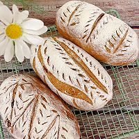 #Free Creative Bread#Country Whole Wheat Bread Recipe Illustration 15 